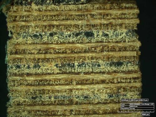 Horten Conservation - Plywood Photomicrograph