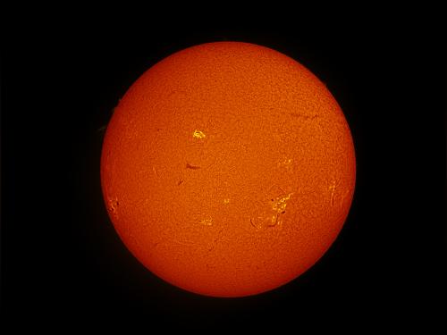 Disk view of the Sun's atmosphere. Multiple filaments (dark lines) are visible mostly on the upper half of the disk. Sunspot (dark spots) clusters surrounded by phages (lighter-colored clouds) are visible in the middle of the disk.