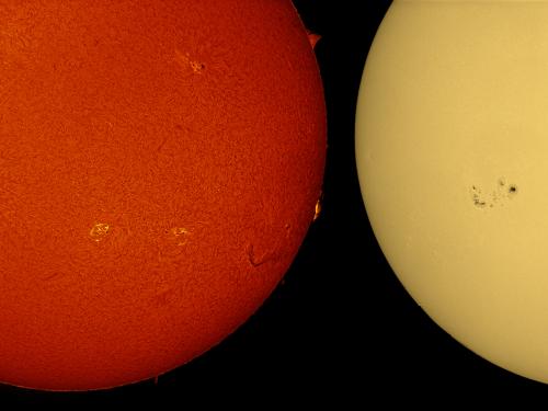 One close-up panel of the Sun's atmosphere next to two partial disk views of the Sun. The left partial disk shows multiple sunspot (dark spots) clusters surrounded by phages (lighter colored clouds). The close-up view next to the disk shows a closer view of the largest sunspot cluster. The right partial disk view reveals the surface, with sunspots visible as dark spots.