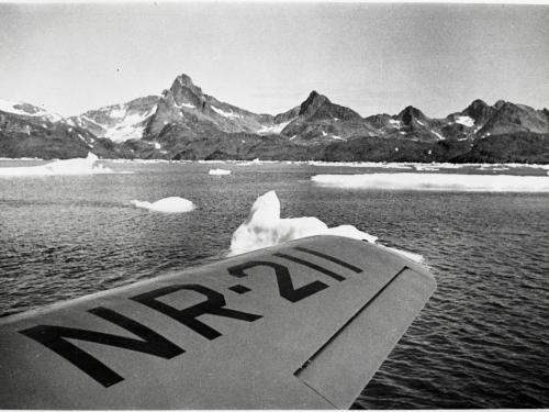 Icebergs in Greenland