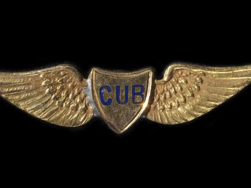 Cub Lapel Pin