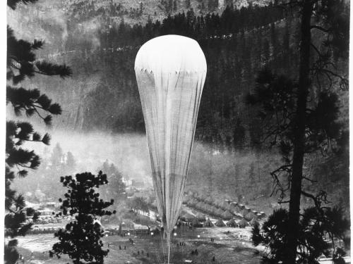 A tall air balloon sits on land in a forest clearing.