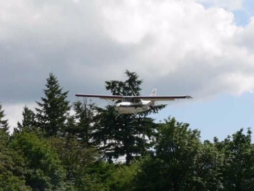 Back view of a white and red monoplane in flight.