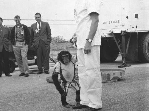 Ham, First Chimpanzee in Space