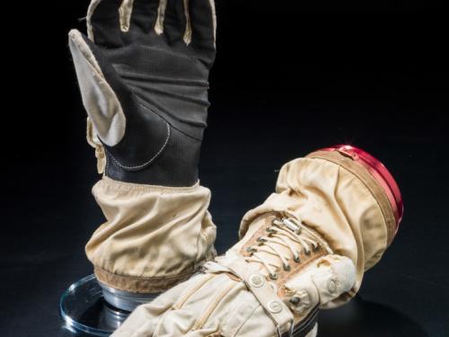 Ed White's Gloves