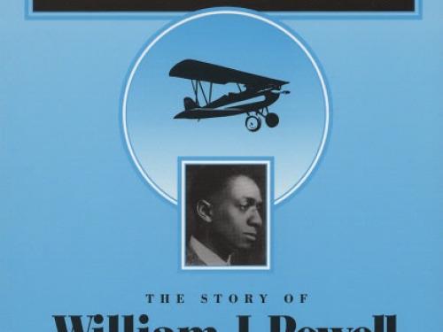 Book Cover: Black Aviator