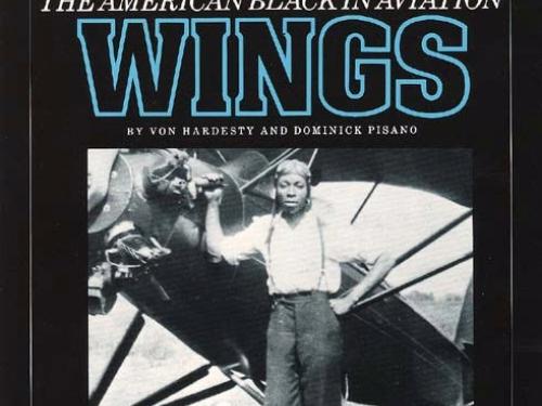 Book Cover: Black Wings