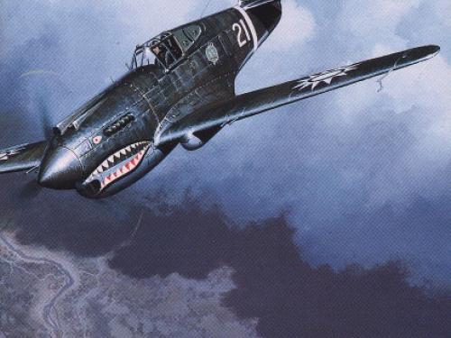 Book Cover: Flying Tigers