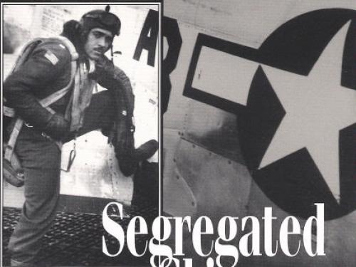 Book Cover: Segregated Skies