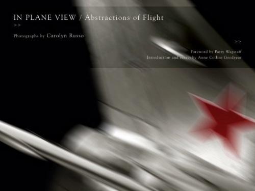 Book cover: In Plane View