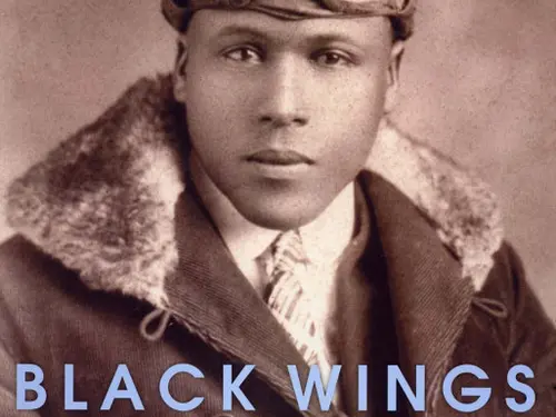 Book cover: Black Wings: Courageous Stories