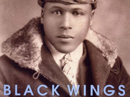 Book cover: Black Wings: Courageous Stories