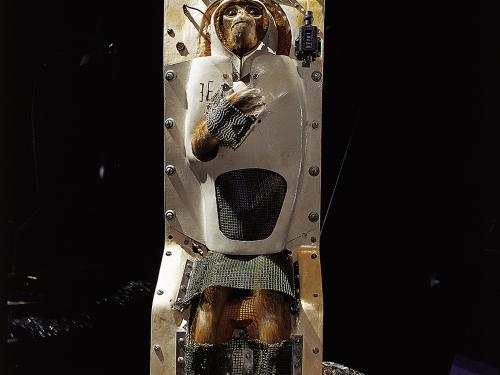 Able (monkey) in Apollo to the Moon