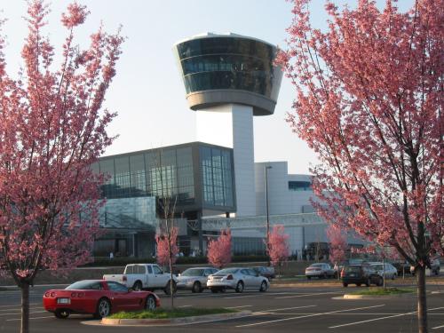 Cherry Trees in Bloom at Udvar-Hazy Center