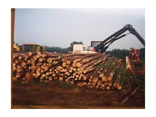 Udvar-Hazy Center Site Prep - Harvesting logs