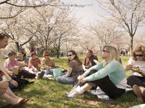 Employees Enjoy the Cherry Blossoms