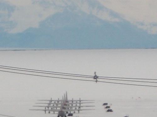 Antarctica Ice Core Research 2009 - C-130s