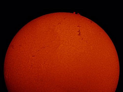 A view of part of the Sun featuring filaments of steam and prominences of plasma rising from the sun.