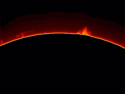 A view of a part of the Sun with focus placed on prominences of plasma rising at the top of the photo.