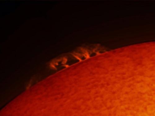 A part of the sun with prominences of plasma floating from the top of the sphere