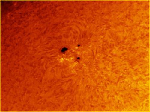 A view of three sunspots on the Sun.