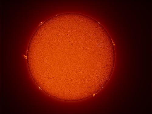 Disc view of the Sun, with multiple prominences and filaments present throughout the Sun's visible surface.