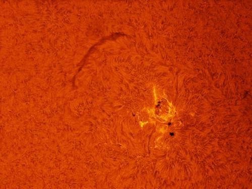 Close-up view of a sunspot group and filament visible on the Sun's surface.