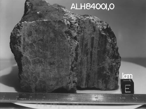 Meteorite ALH84001