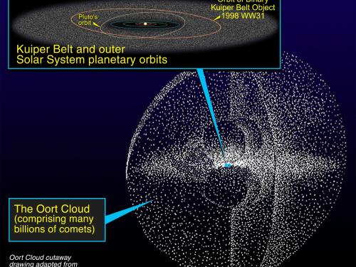 The Oort Cloud