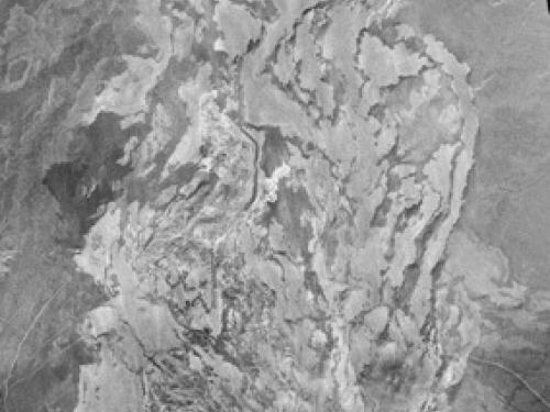 A satellite view of fields of dried lava flows on the surface of Venus.