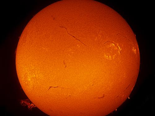 Disk view of the sun with multiple large filaments (dark lines), three sunspot clusters, and one large prominence of plasma rising from the surface visible.