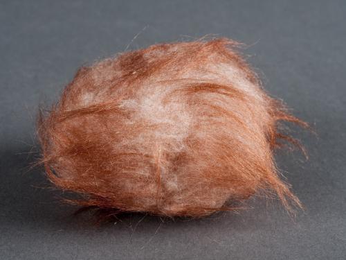 Brown and light-brown-colored fur animal prop used in the television show Star Trek.