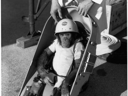 NASA launched the chimpanzee Ham on a suborbital flight in January 1961.