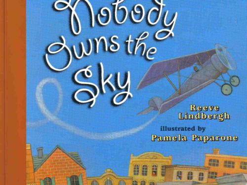 Book Cover: Nobody Owns the Sky