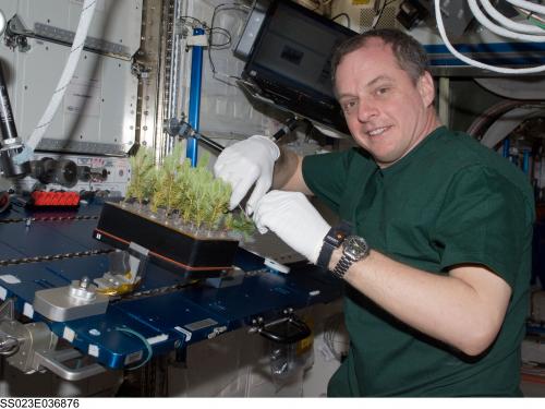 astronaut on space station doing experiment