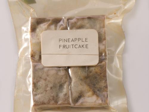 Apollo Space Food Pineapple Fruitcake