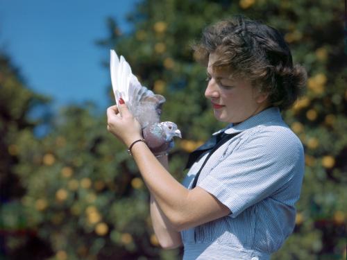 Specialist (X) second class Marcelle Whiteman gently holds one of the 200 carrier pigeons