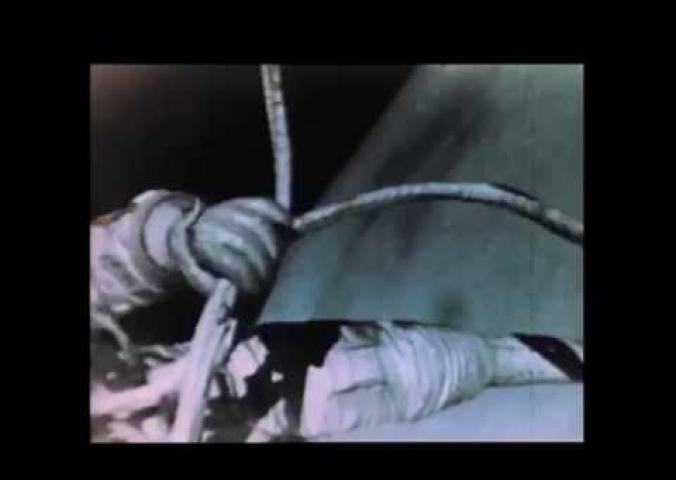 A historical video of the first spacewalk in 1965, performed by a Russian cosmonaut.