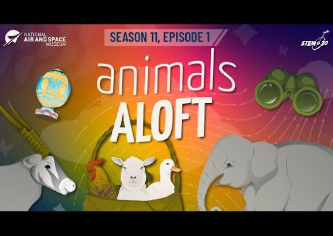 A video about animals and flight. 