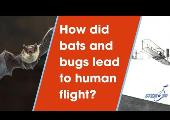 A video about the origins of human flight. 