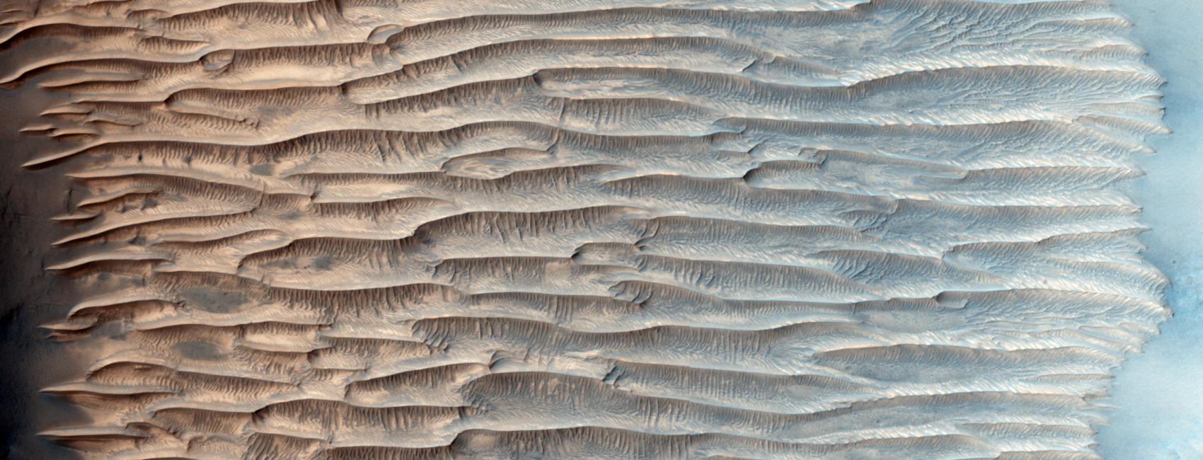 An image of all the linear ridges in a valley on Mars.