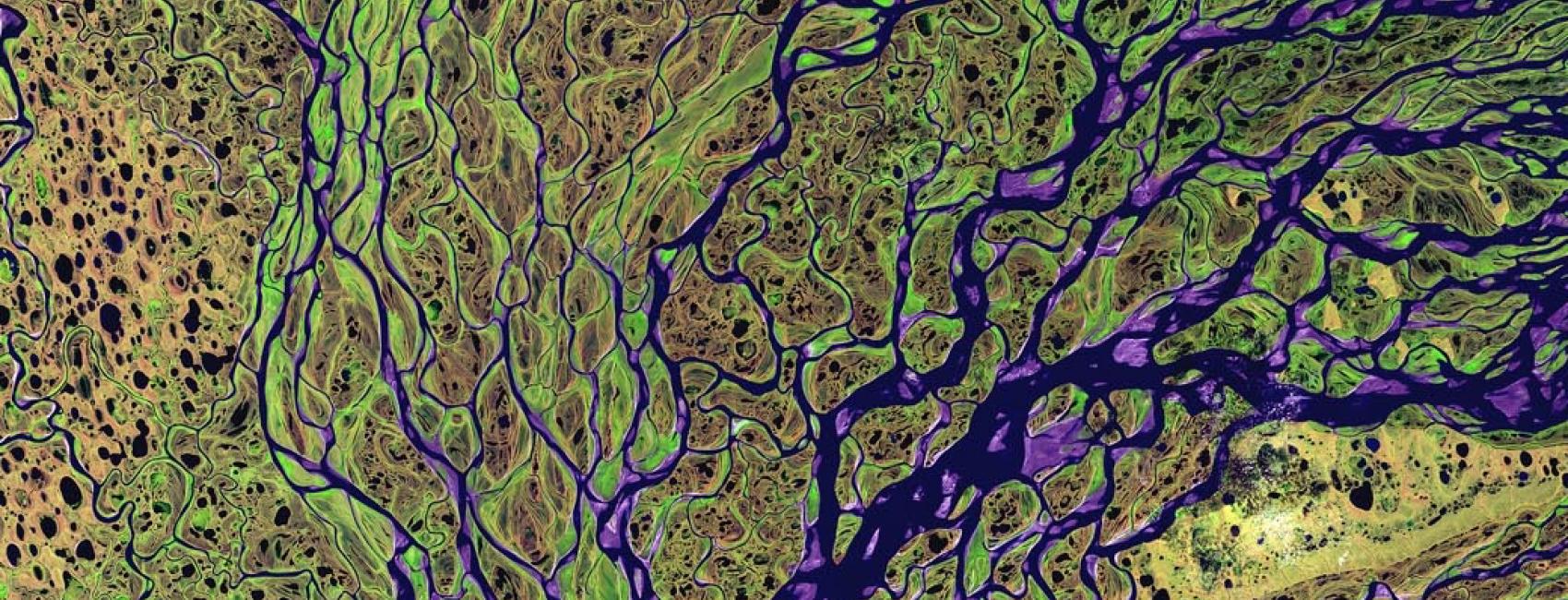 False color image of river delta from above. Delta appears in green and yellow, water appears in purple.