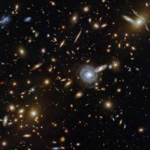 Image of space packed with a cluster of galaxies along with a few foreground stars.