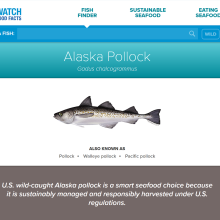 A screenshot of the FishWatch U.S. Seafood Facts website featuring an Alaska Pollock.