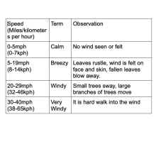 A chart that shows speed in miles per hour, how it is described (calm, breezy, windy, very windy), and what that feels like.