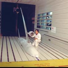 A photo of a man in a wind tunnel with a model of an airplane.