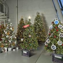 Christmas trees decorated in aviation and space themes 