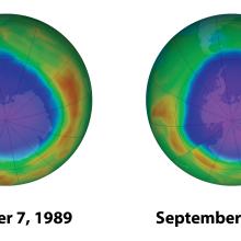 Four globes are in a row. From left to right these dates are underneath, noting the date of the Earth for each example: September 17 1979, October 7 1989, September 29 1999, and September 26 2009. Moving from left to right, a purple patch on each globe grows bigger.