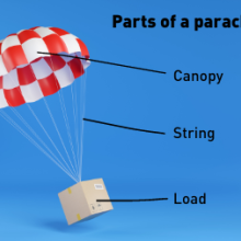 A diagraph of a parachute. The parachute part is labelled the canopy, followed by the string, holding the load. 