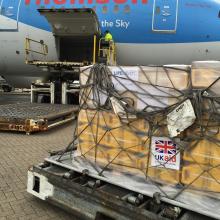 A plane with cargo being loaded into the bay. 